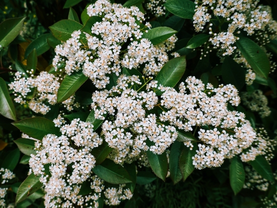 （寫真著作権は視覚中國(guó)が所有のため転載禁止） 