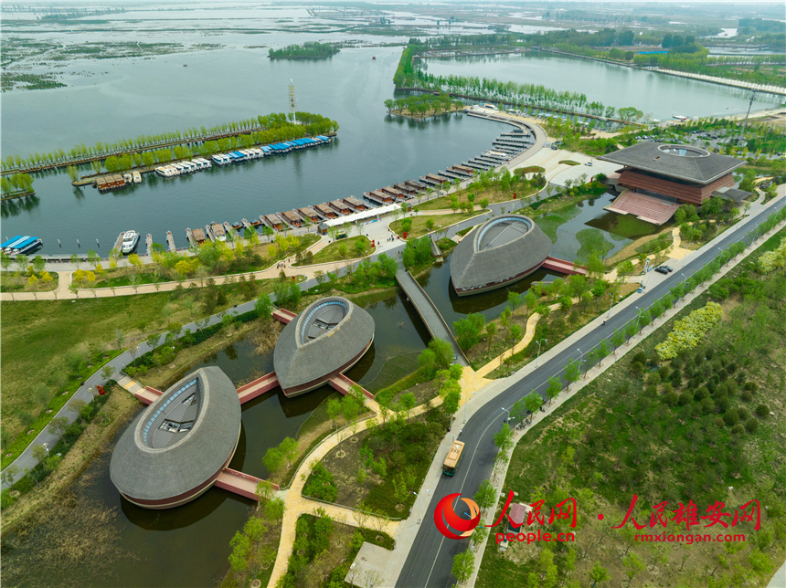 上空から撮影した白洋淀観光船著き場(chǎng)（撮影?李兆民）。