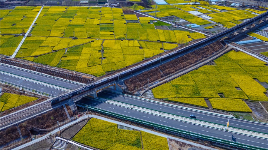 花の中を走り抜ける列車(chē)が美しい春の景色を演出