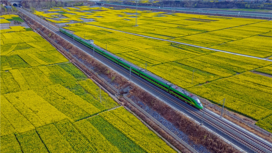 花の中を走り抜ける列車が美しい春の景色を演出