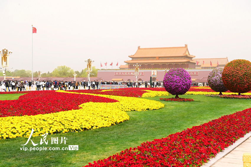 天安門広場(chǎng)にメーデーを記念する花壇設(shè)置　北京