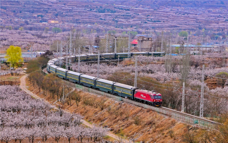 花の中を走り抜ける列車(chē)が美しい春の景色を演出
