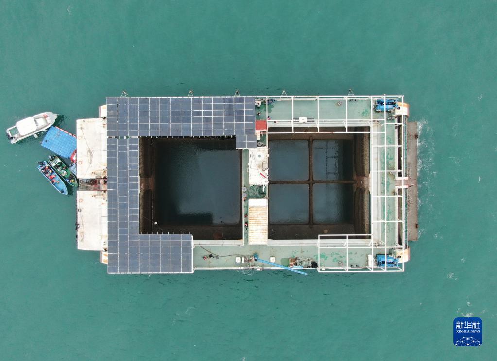 広東省が現(xiàn)代的「海洋牧場」の建設を推進