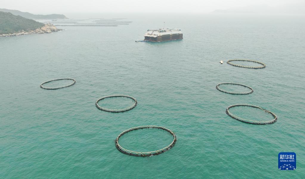 広東省が現(xiàn)代的「海洋牧場(chǎng)」の建設(shè)を推進(jìn)