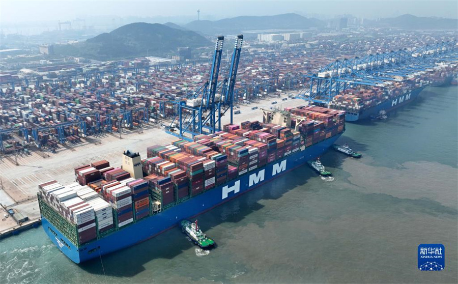 青島港全自動(dòng)化埠頭、再び新記録を達(dá)成