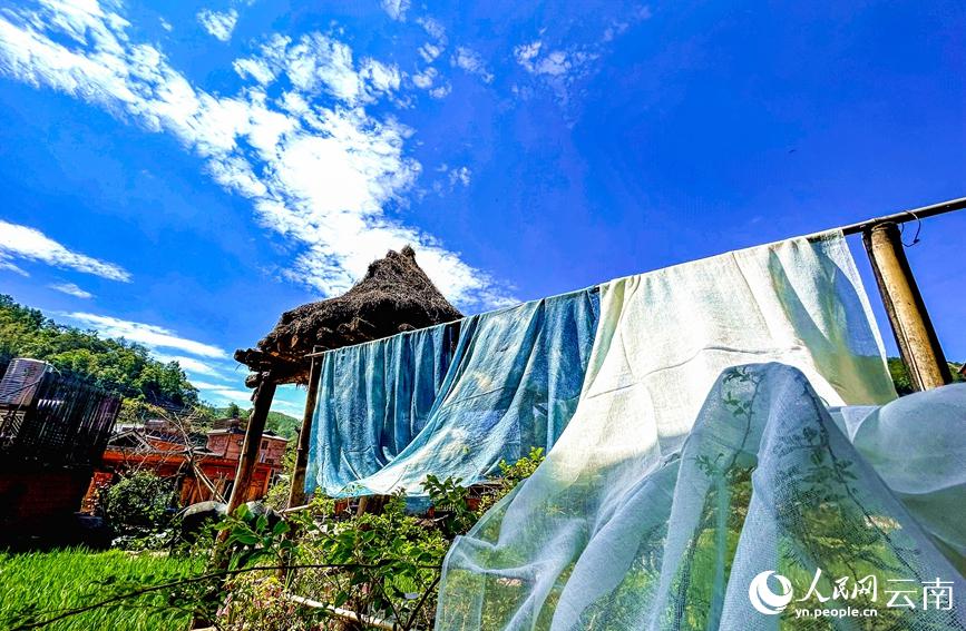 青空と藍(lán)染の美しいコラボ（撮影?方磊）。