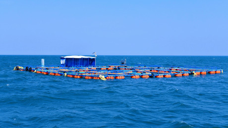 中國(guó)原子力工業(yè)集団海水ウラン回収試験プラットフォーム。畫像提供は中核鉱業(yè)科技