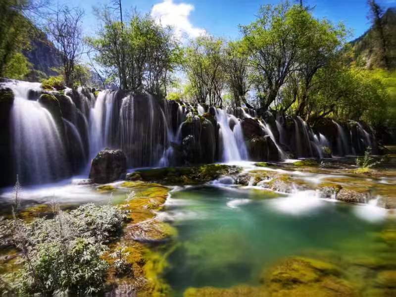 九寨溝を訪(fǎng)れた観光客の數(shù)は年初から延べ100萬(wàn)人を突破　四川省