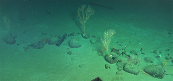 沈沒船遺跡（畫像出典：國家文物局考古研究センター、中國科學院深海科學?工學研究所）