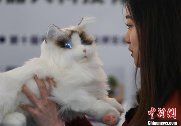 ネコのバイオニックロボットと交流する來場者（撮影?王剛）。