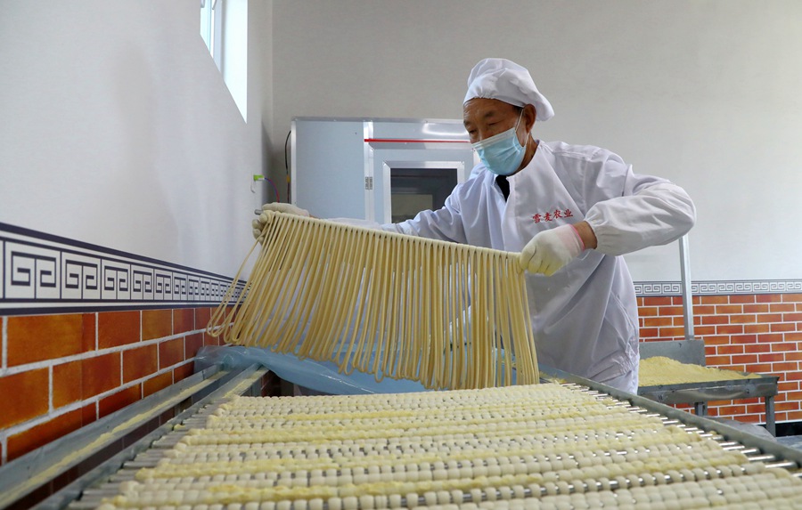 伝統(tǒng)的な乾麺制作で富裕の道目指す甘粛省民楽県