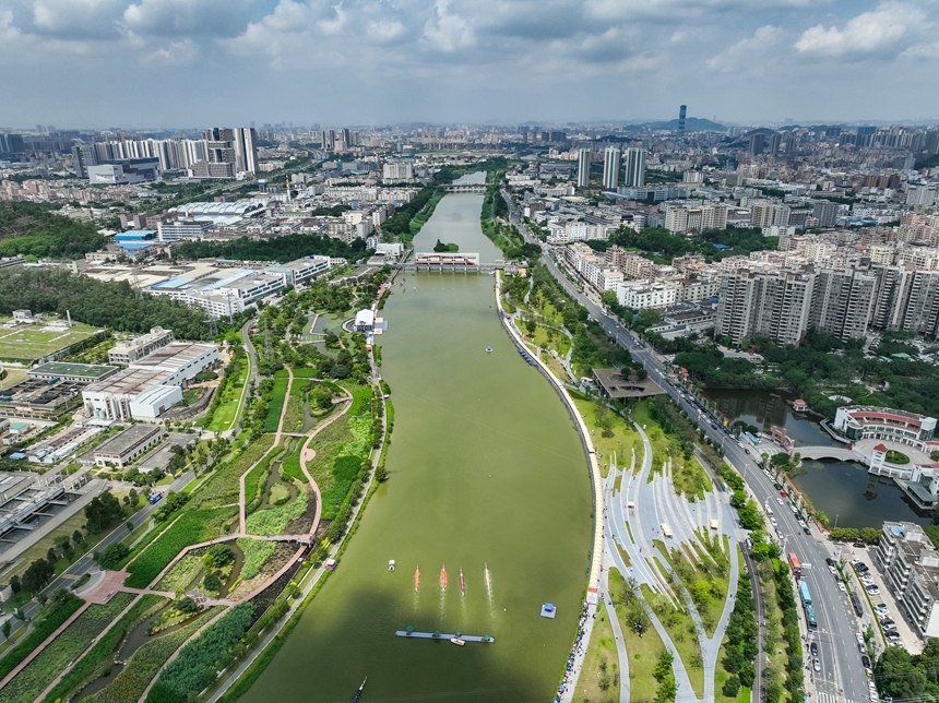 2023年粵港澳大灣區(qū)ドラゴンボート大會(huì)が開(kāi)催