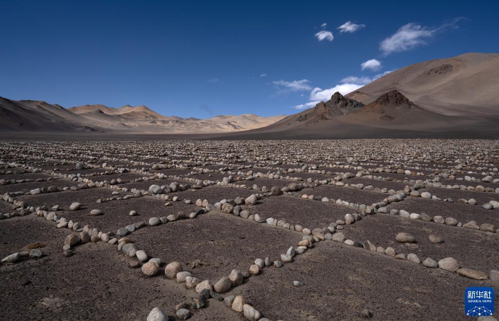西蔵自治區(qū)阿里地區(qū)噶爾県扎西崗郷の高速道路沿いに延々と広がる神秘的な「石の陣」（5月28日撮影?費(fèi)茂華）。
