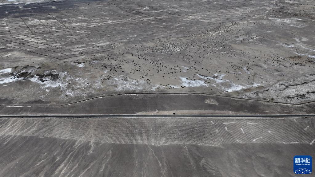 西蔵高速道路沿いに延々と広がる神秘的な「石の陣」