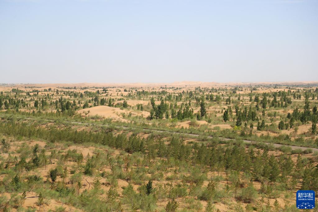 生態(tài)環(huán)境の改善効果著しい庫(kù)布其砂漠　內(nèi)蒙古