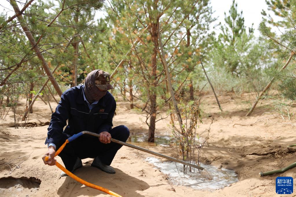 生態(tài)環(huán)境の改善効果著しい庫布其砂漠　內(nèi)蒙古