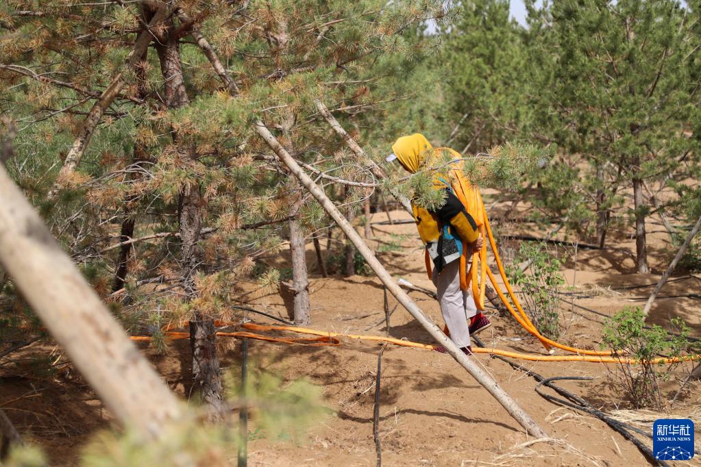 生態(tài)環(huán)境の改善効果著しい庫布其砂漠　內(nèi)蒙古