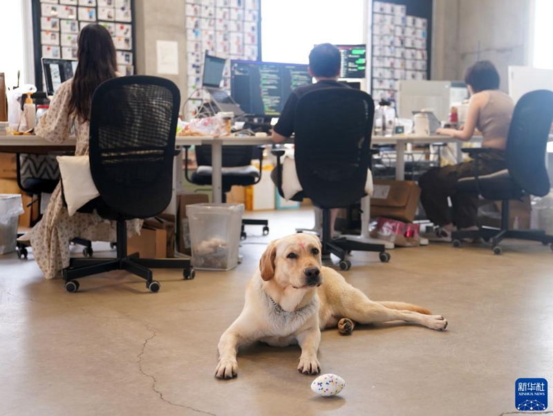 「デジタルノマド?コミュニテ?！工蛟Lねて　浙江省