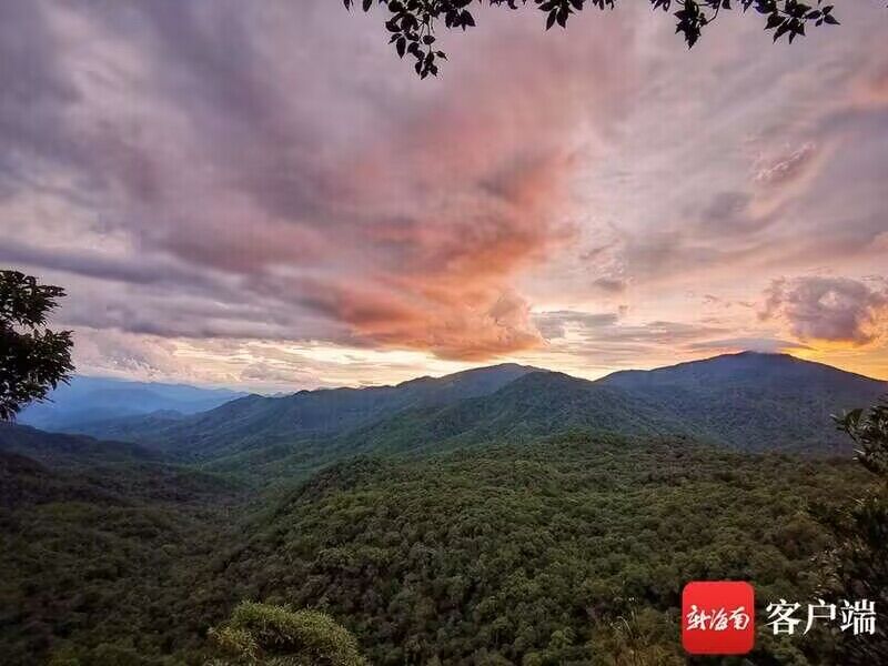 中國が24年ぶりに「複合遺産」申請(qǐng)へ　「海南省の熱帯雨林と黎族伝統(tǒng)集落」