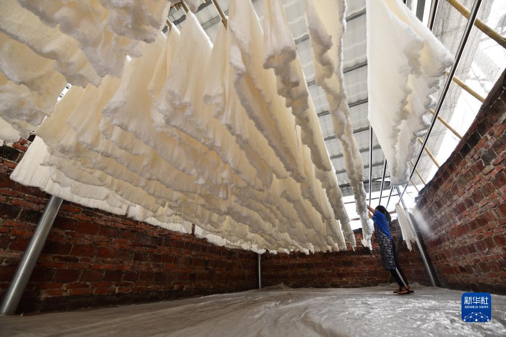 「20萬(wàn)元プラス」行動(dòng)で農(nóng)村振興を後押し　広西