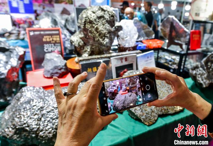 「新疆石博會」が開幕　各種各様の石が一堂に會す