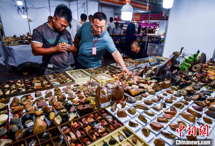 「新疆石博會」が開幕　各種各様の石が一堂に會す