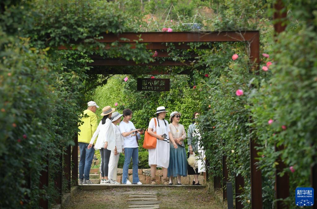 「千萬工程」で美しく生まれ変わった浙江省の農(nóng)村