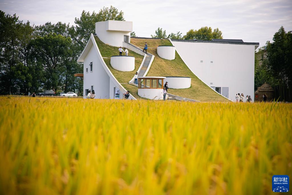 「千萬(wàn)工程」で美しく生まれ変わった浙江省の農(nóng)村