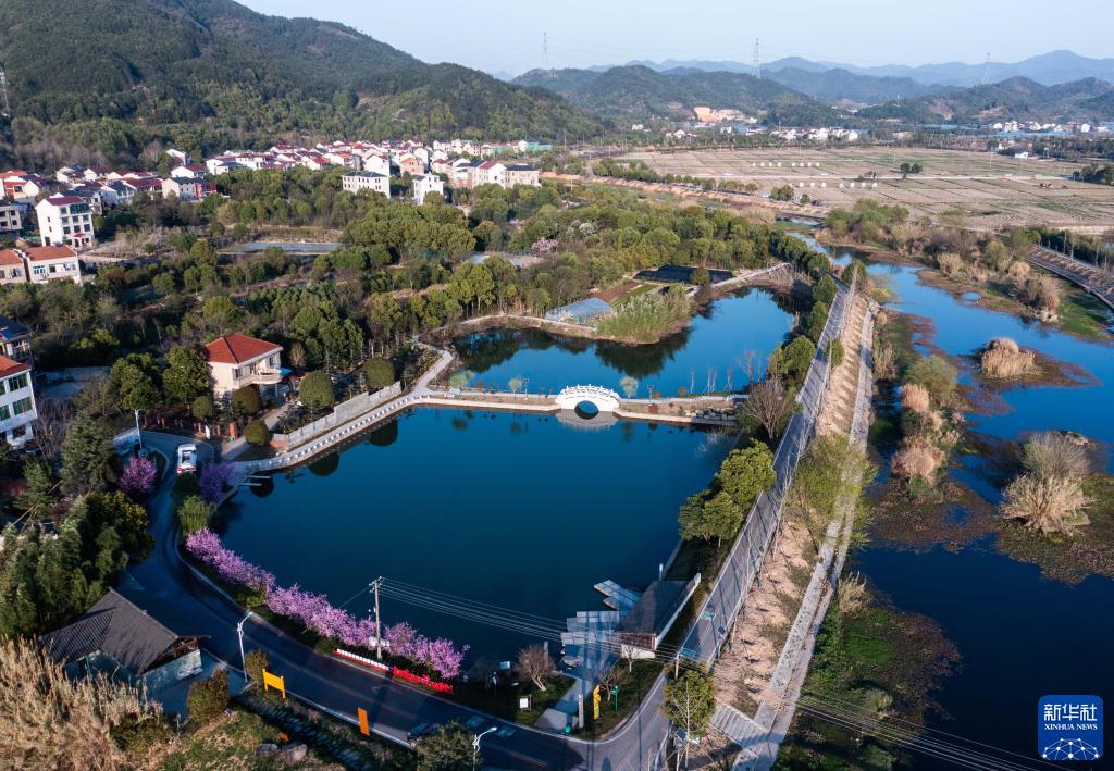 「千萬工程」で美しく生まれ変わった浙江省の農(nóng)村