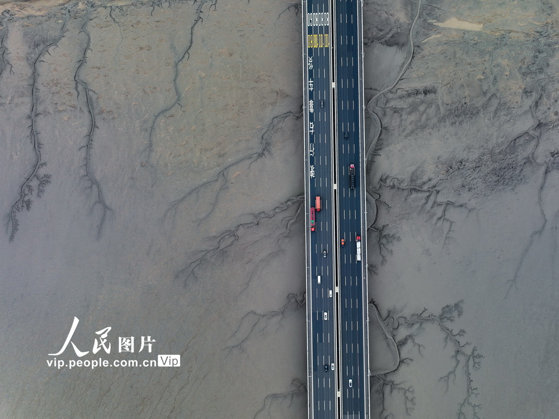 干潮となった銭塘江の川底に樹木のような模様が出現(xiàn)　浙江省