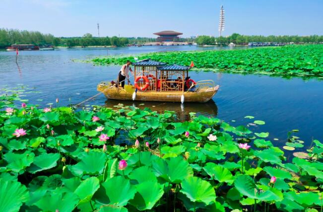 教科書に出た白洋淀(寫真提供?白洋淀景勝地)