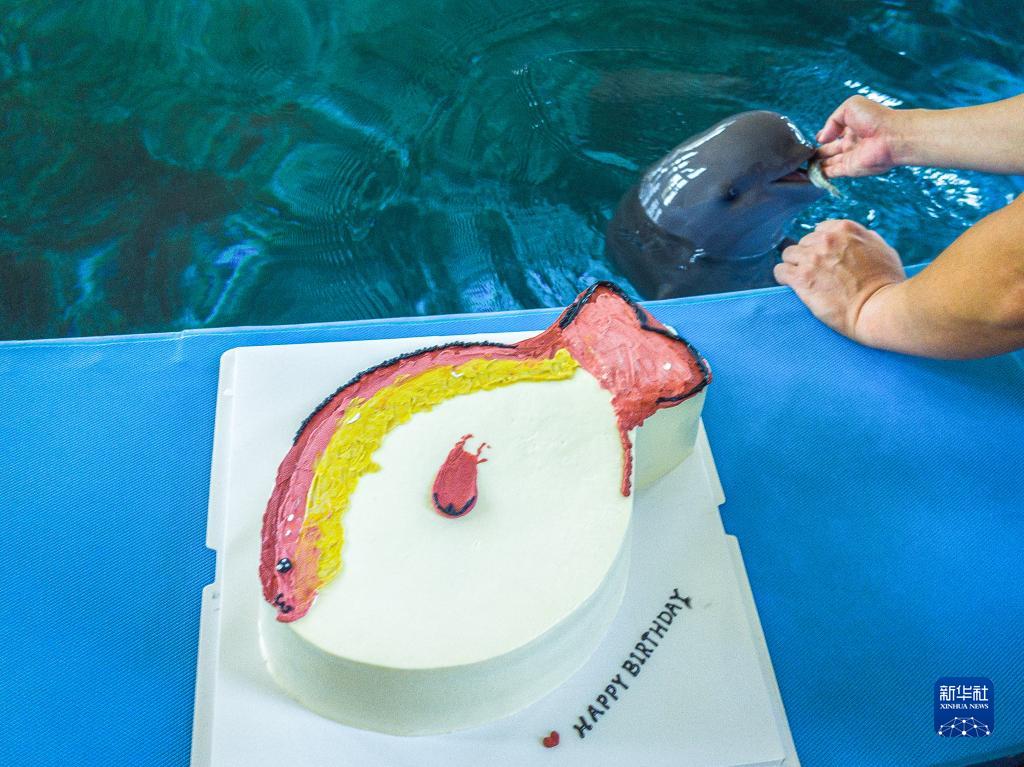 人工繁殖した初のメスの2代目スナメリが1歳の誕生日　中國(guó)