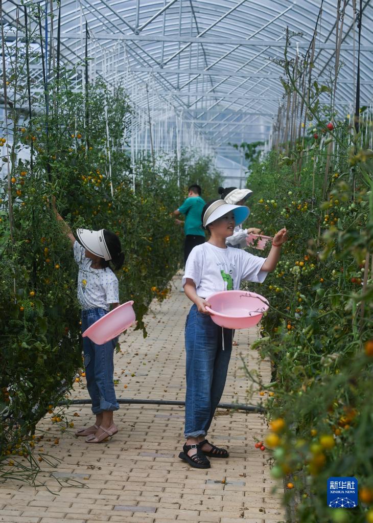 農(nóng)村の振興バックアップする浙江省の特色ある民泊施設(shè)クラスター