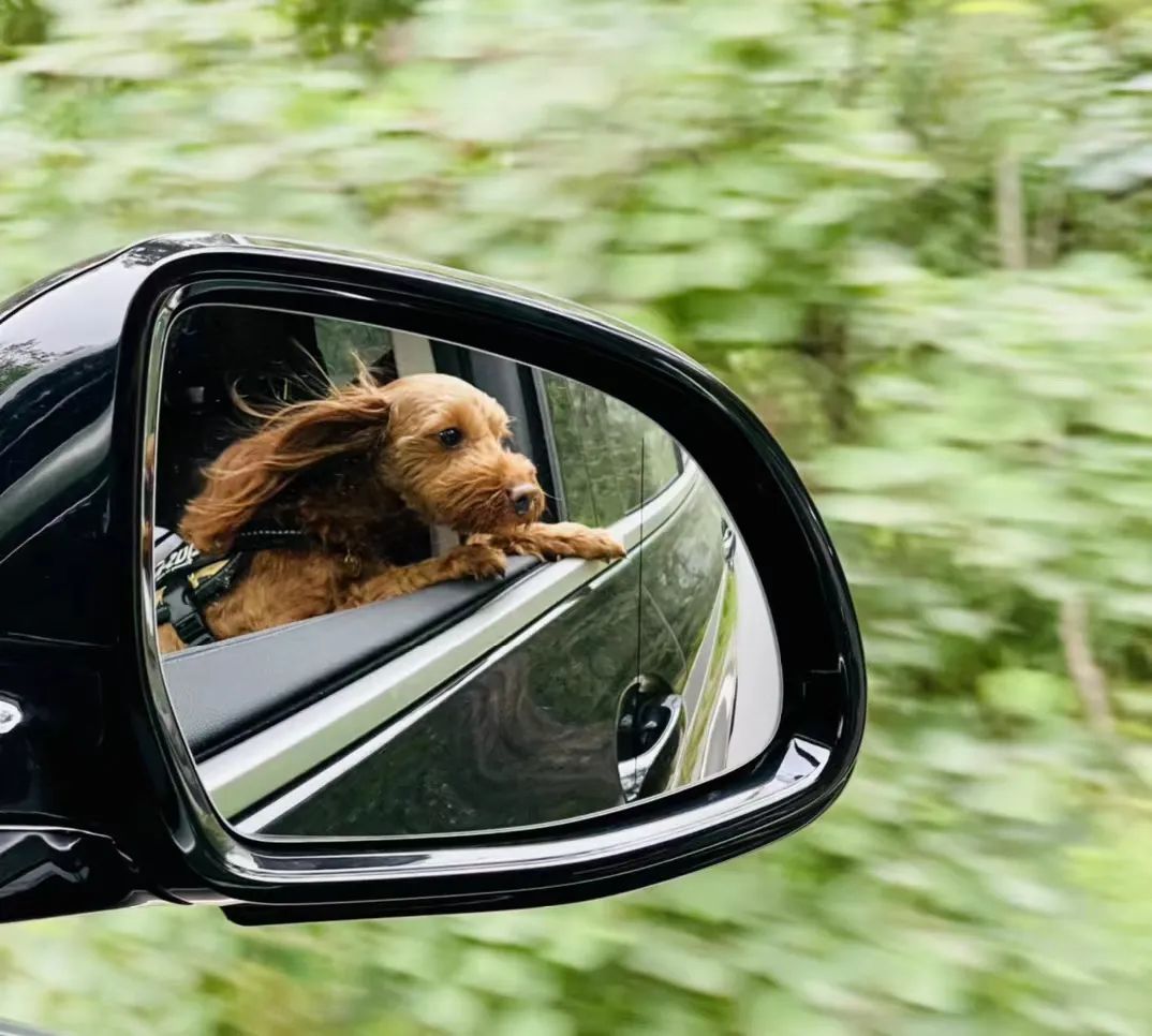 寫真提供?北京商報(bào)