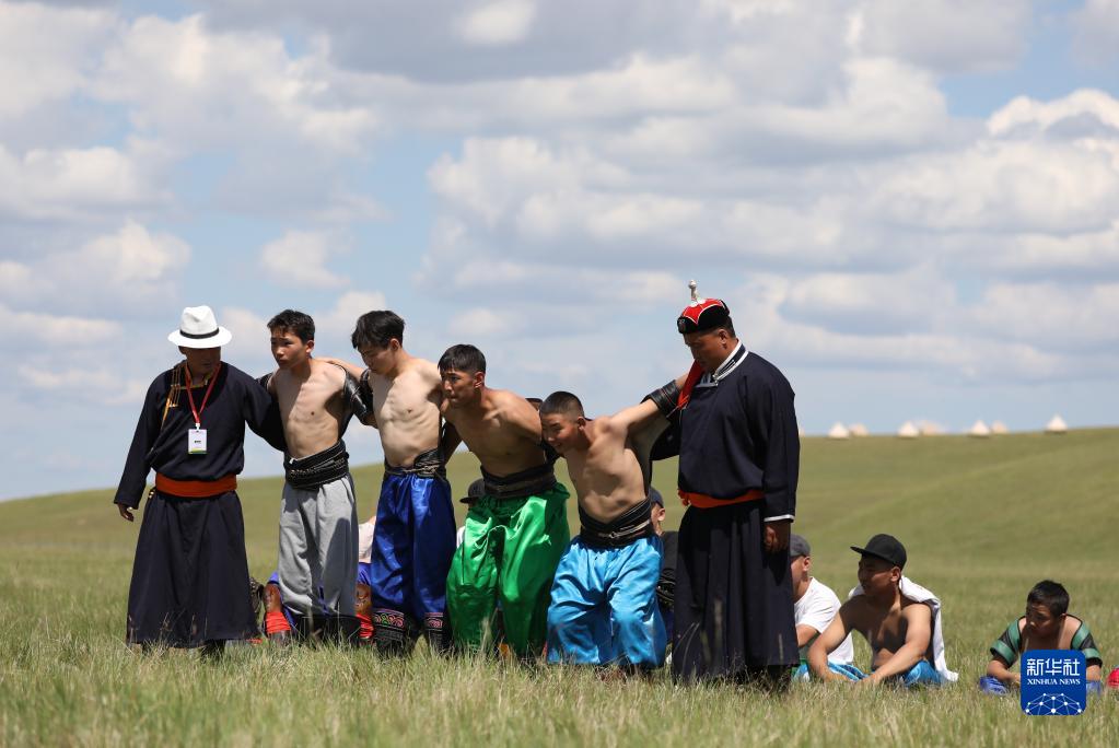 第2回呼倫貝爾大草原文化観光フェスティバルが開幕　內(nèi)蒙古