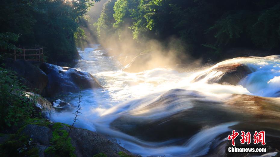 秦嶺山脈の山奧の夏の日の木漏れ日（寫真提供?黃柏塬原生態(tài)景勝）。