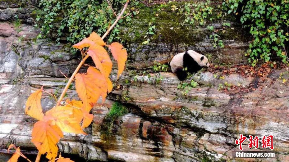 夏でも平均気溫19度とひんやり涼しい秦嶺山脈　陝西省