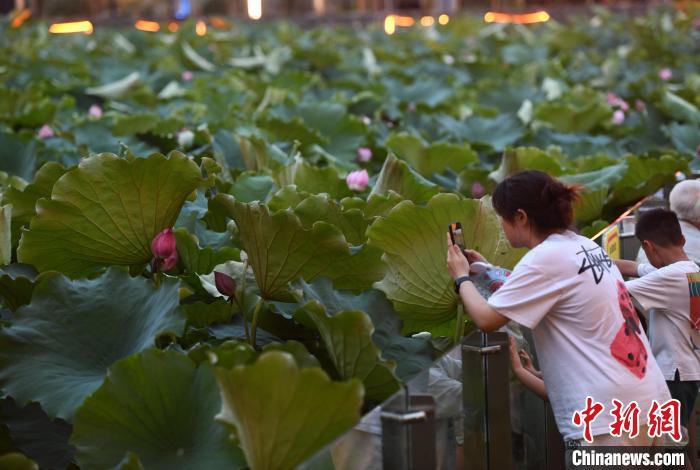 グルメと美しい景色を同時(shí)に楽しめるハス池ほとりで火鍋！　重慶市