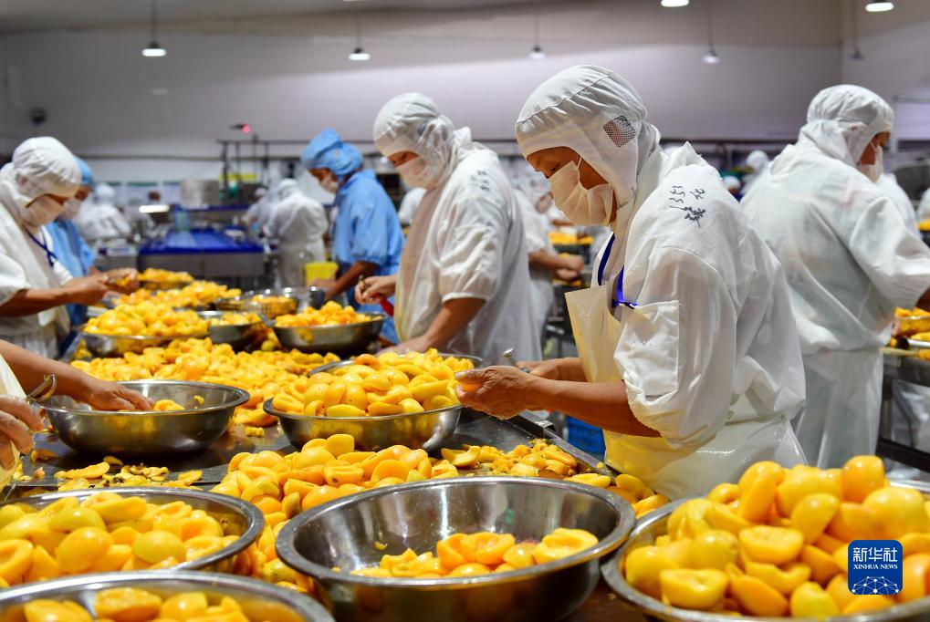 湖北省宜昌市秭帰県にある屈姑國際農(nóng)業(yè)集団黃桃深加工工場の生産ラインで、黃桃の皮むき処理を進(jìn)める作業(yè)員（7月13日撮影?王輝富）。