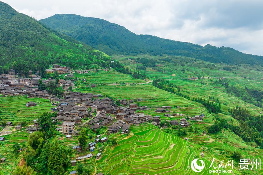 上空から撮影した、貴州省黔東南苗族侗族自治州従江県の加榜棚田（撮影?涂敏）。