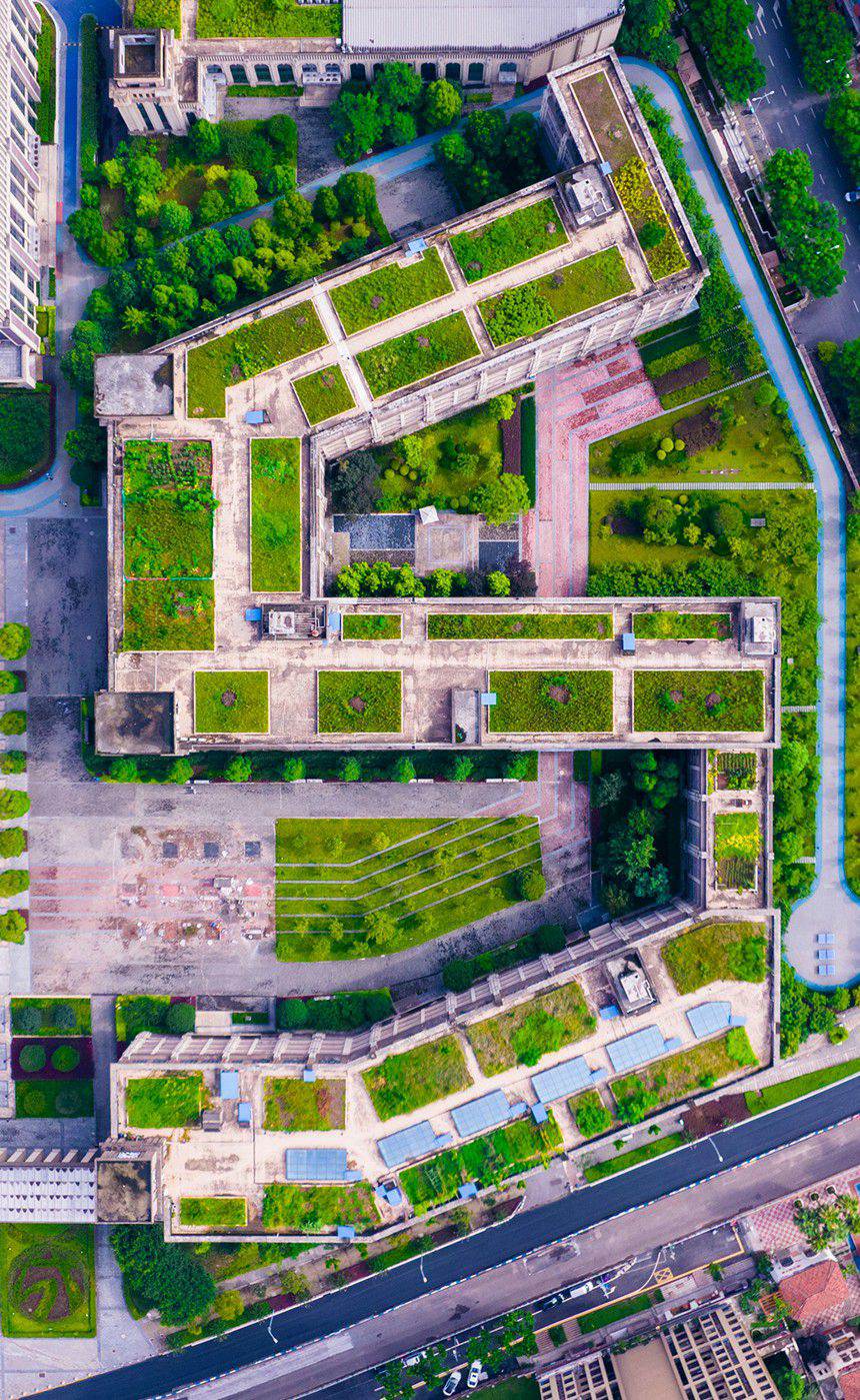    「5」分間あたりに1件の省を跨ぐ社會保険業(yè)務(wù)を処理できる川渝高竹新區(qū)（撮影?呉汪）。