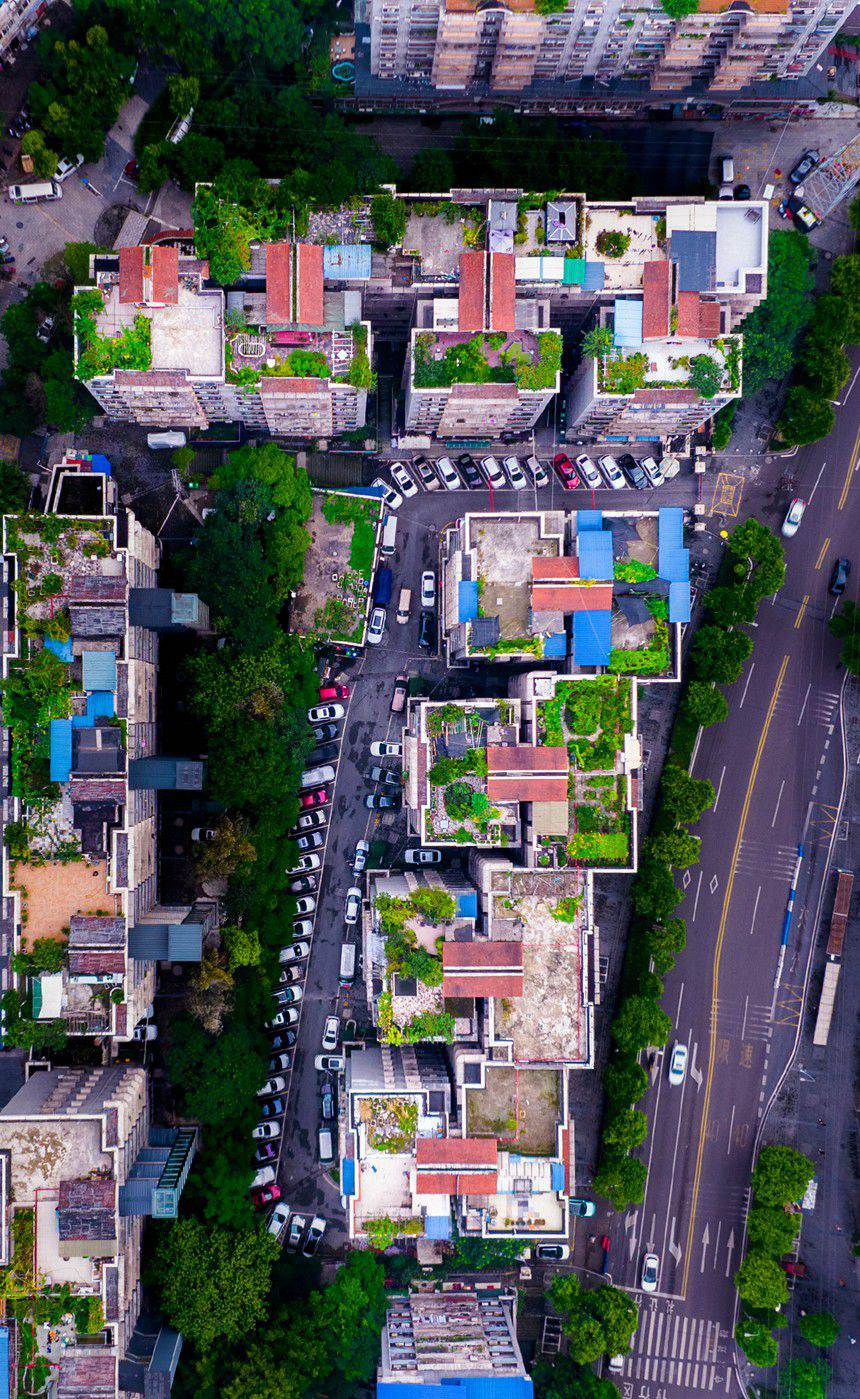    「7」分間あたり小包3885件の引受?発送が可能な重慶順豊速運（SFエクスプレス、撮影?呉汪）。