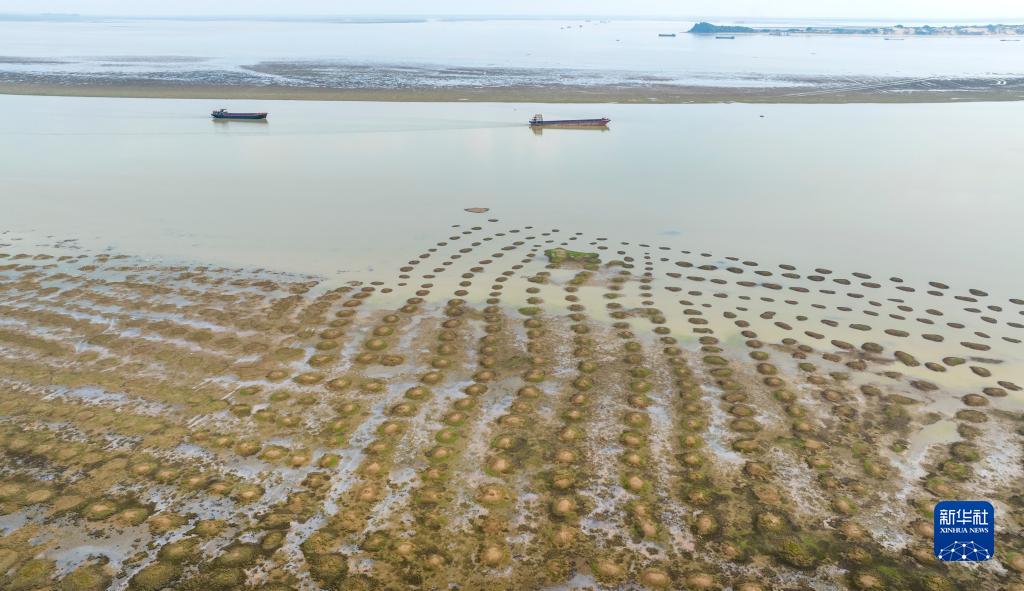 鄱陽(yáng)湖が観測(cè)史上最も早い時(shí)期に渇水期に突入　江西省