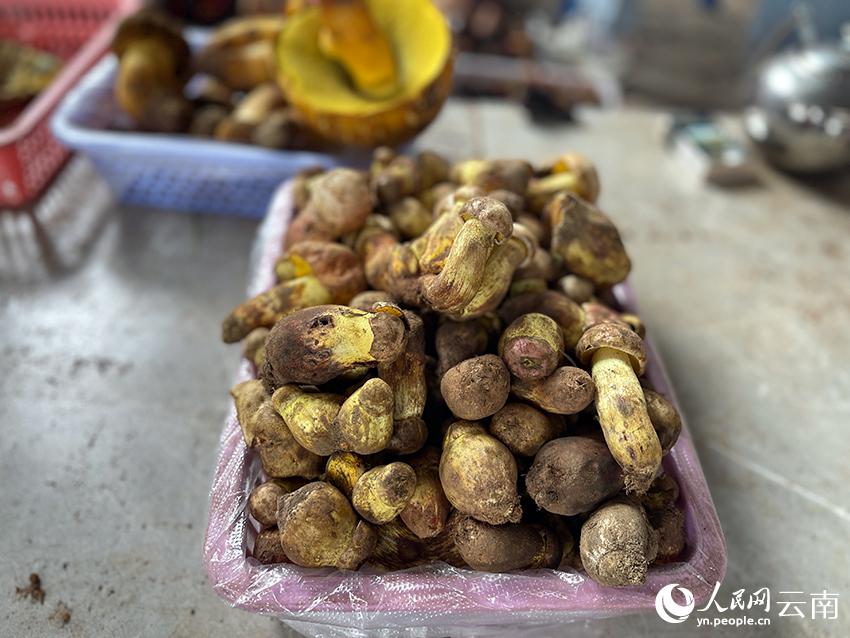 旬到來！「野生キノコの王國」のキノコ市場に活気　雲(yún)南省