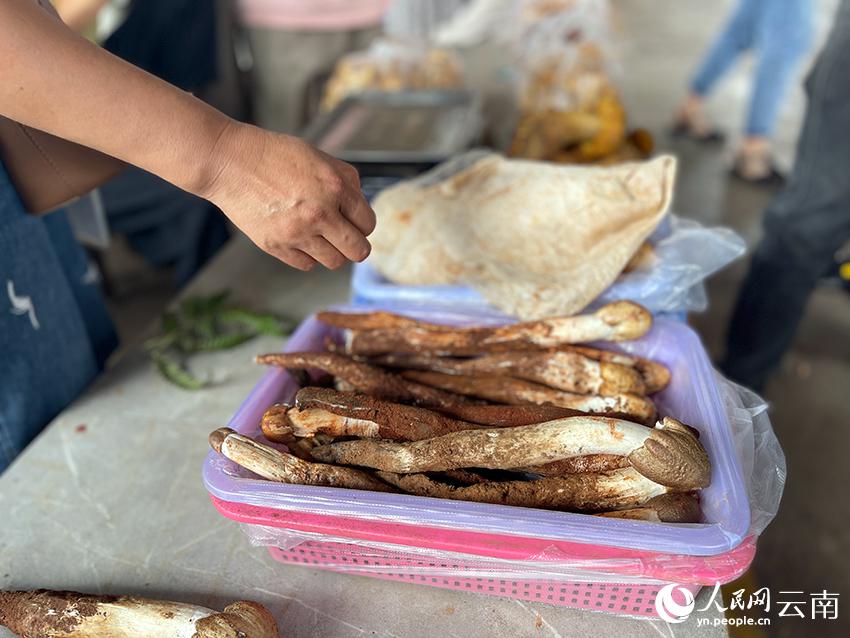 旬到來！「野生キノコの王國(guó)」のキノコ市場(chǎng)に活気　雲(yún)南省
