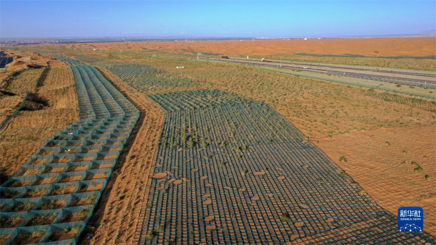 寧夏の中衛(wèi)市、複數(shù)の措置で緑が増加し砂漠が減少