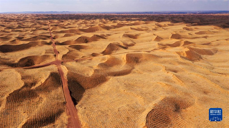 寧夏の中衛(wèi)市、複數(shù)の措置で緑が増加し砂漠が減少