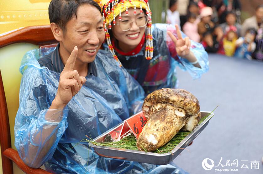 「キノコ王」選出イベント開催 848グラム「マツタケ王」は6.8萬元 雲(yún)南省南華