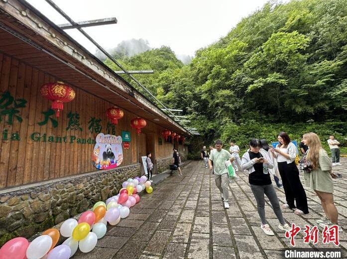 パンダ「奧運(yùn)」が15歳に　特製アイスケーキに舌鼓　湖北省