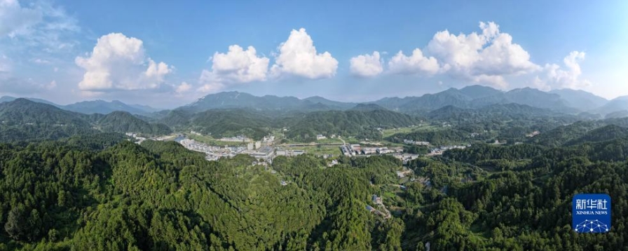 山を見守り25年　安徽省大別山の森林保護(hù)員夫婦